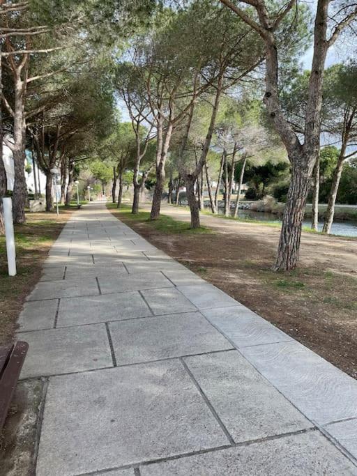 Chez Laurence - Elegant Climatise Avec Wifi Et Parking Apartment *